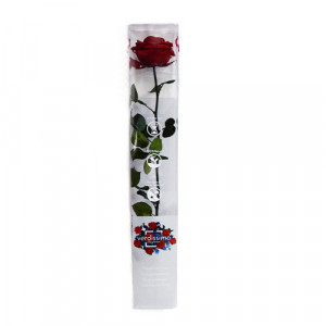 Trandafir Criogenat cu tija, 56 cm