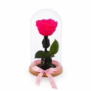 Trandafir criogenat premium XL roz fucsia in cupola de sticla, inaltime 24 cm