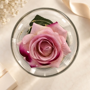 Trandafir decorativ cu LED, in cupola transparenta, 20 cm, in cutie cadou, Roz - Img 5
