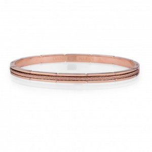 Women's Bracelet DANIEL KLEIN - DKJ.3.2084.04