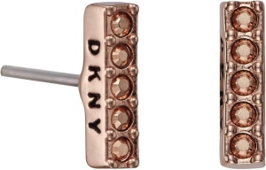 DKNY 5520082 - Γυναικεία σκουλαρίκια
