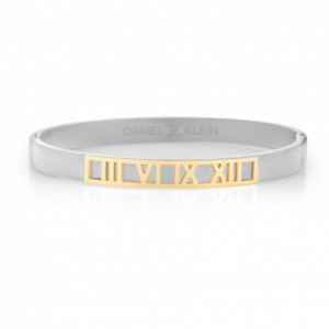 Women's Bracelet DANIEL KLEIN - DKJ.2.2077.01