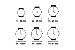 Emile Chouriet Automatic 191138L68272 - Women's Watch - Img 2