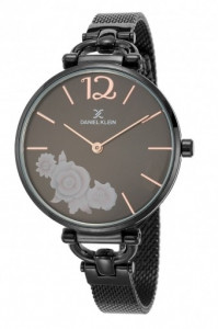Women's Watch Daniel Klein DK.1.12416-4