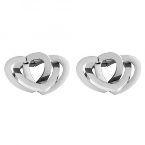 Women's Earrings DANIEL KLEIN DKJ.3.5009-1