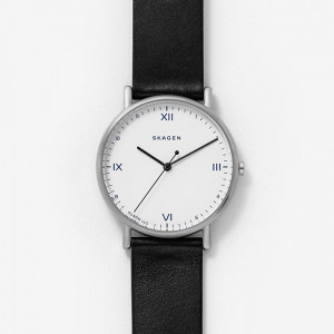 Skagen SKW6412 Men's Watch - Img 2