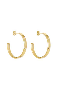 Women's Earrings Daniel Klein DKJ.3.5012-2