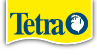 Tetra