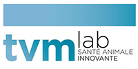tvm lab