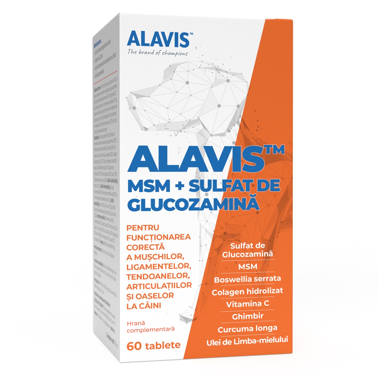 ALAVIS MSM + Glucozamina Caini, 60 tablete