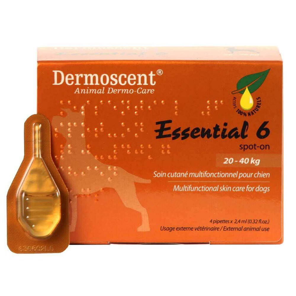 Dermoscent Essential 6 Spot-On Caine, 4 pipete