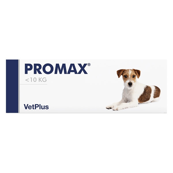 Promax, pasta