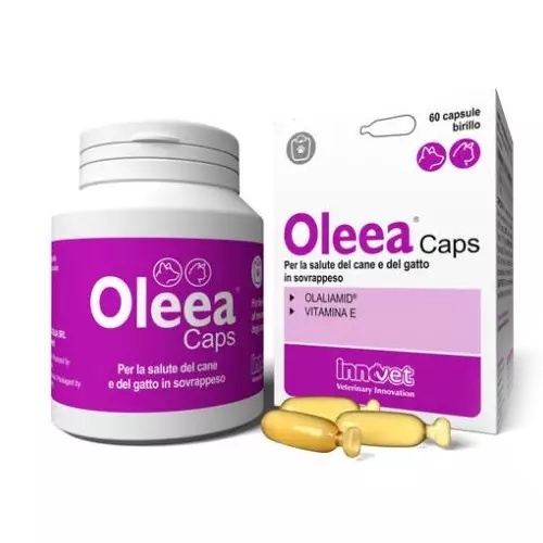 Oleea, 60 capsule