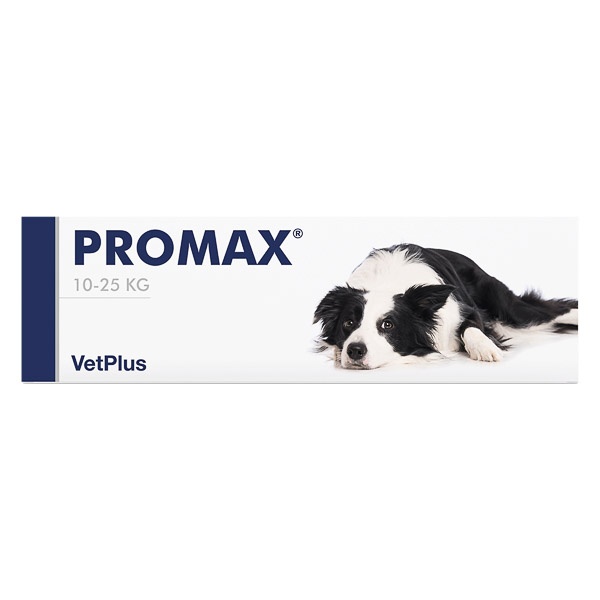 Promax, pasta