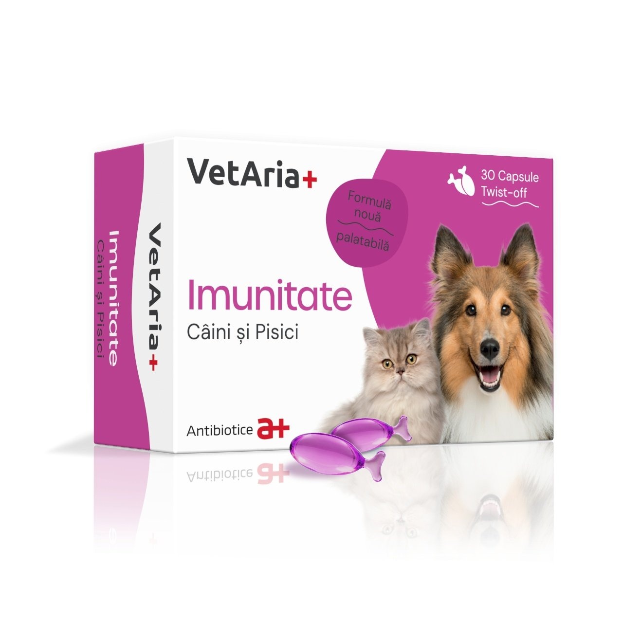 Aceasta este imaginea corespunzatoare acestui obiect