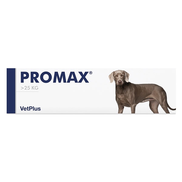 Promax, pasta