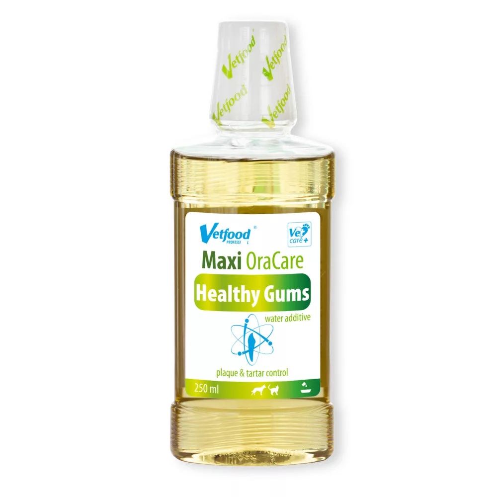 Maxi Oracare Healthy Gum, 250ml (Data expirare 31.08.2025)
