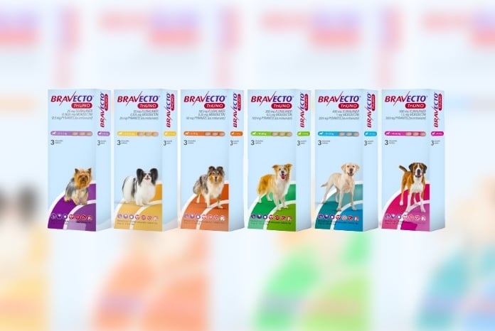 Bravecto TriUNO, 1 tableta