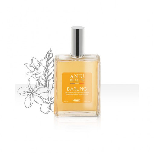 Anju Beaute Parfum Caini, 100 ml