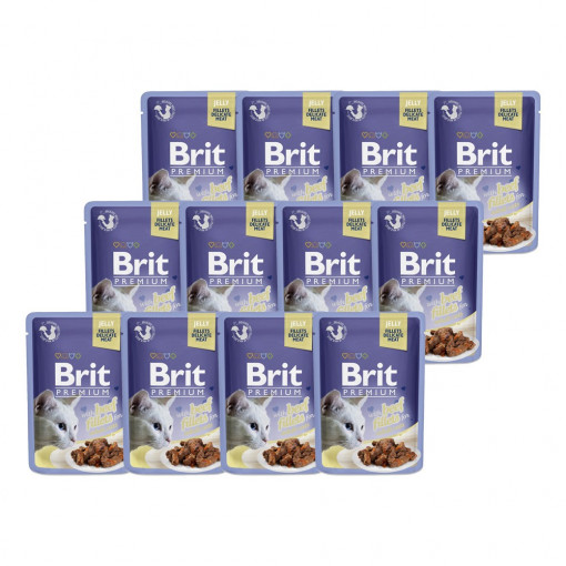 Brit Premium Plicuri Pisica Delicate Fillets in Jelly, 12x85 grame