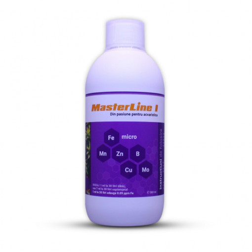 Masterline I