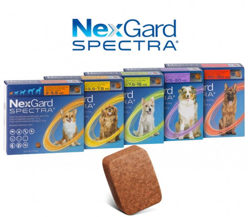 Nexgard Spectra Caine, 1 tableta