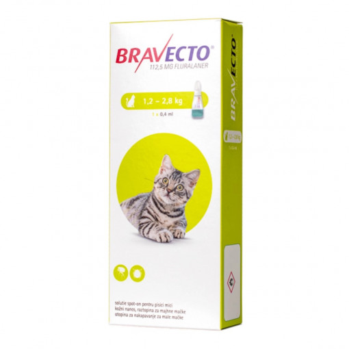 Bravecto Pisica Spot On S, 1.2 - 2.8kg, 1 pipeta