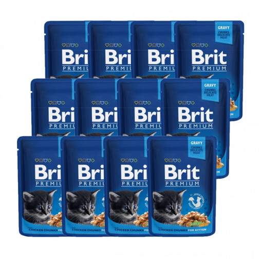 Brit Premium Plicuri Pisica, 12x100 grame