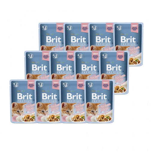 Brit Premium Plicuri Pisica Delicate Fillets in Gravy, 12x85 grame