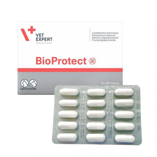 Bioprotect, capsule probiotice pentru caini si pisici