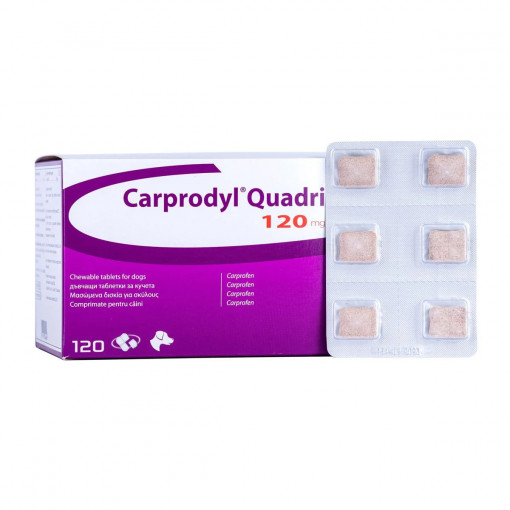 Carprodyl Quadri 120mg, 6 tablete