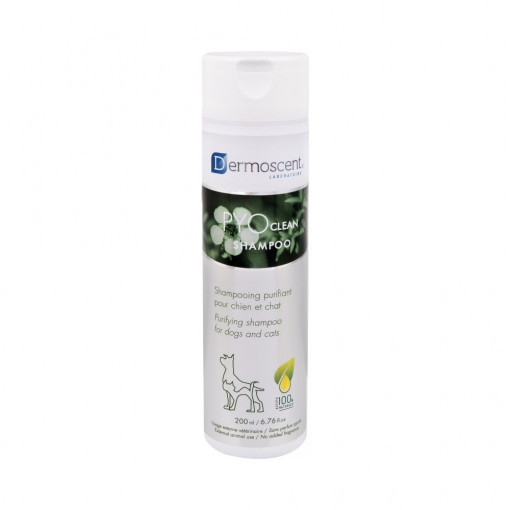 Dermoscent PyoClean Sampon, 200 ml