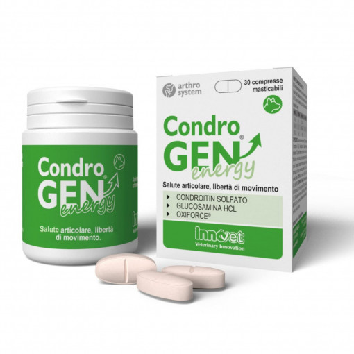 CondroGEN Energy