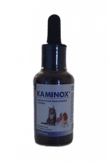 Kaminox, 60 ml