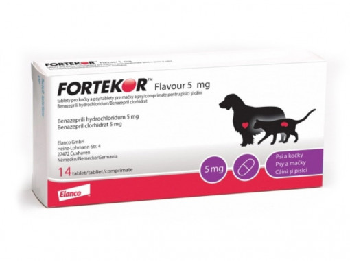 Fortekor Flavour, 14 tablete