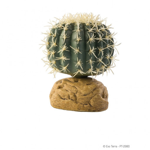 Hagen Exo Terra Barrel Cactus