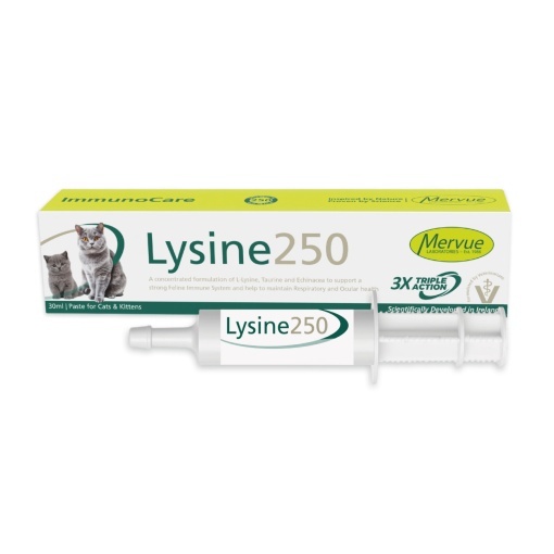 Optixcare L-Lysine Chews, 60 tablete masticabile