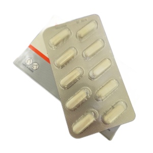 BioProtect, capsule probiotice pentru caini si pisici