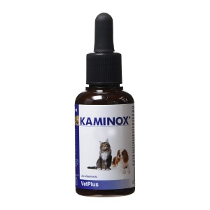 Kaminox, 60 ml