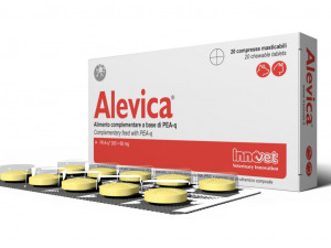 ALEVICA CAINI