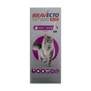 Bravecto Plus L Pisica mica