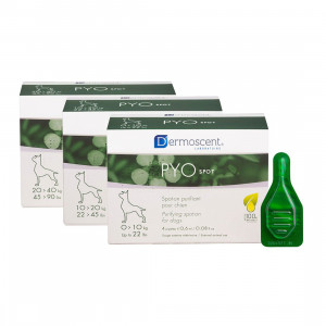 Dermoscent Pyo Spot Caine, 4 pipete