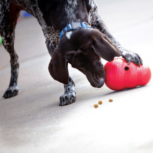 KONG Wobbler - Img 4