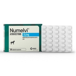 Numelvi Caine 21.6mg