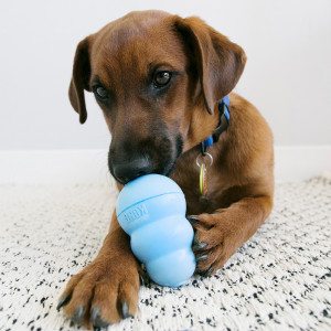 KONG Snacks Puppy (data expirare: 20.10.2025) - Img 4