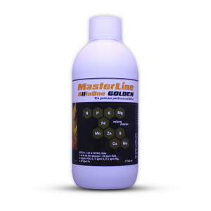MasterLine All in One Golden - Img 1