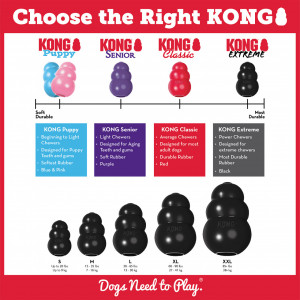 KONG Extreme - Img 3
