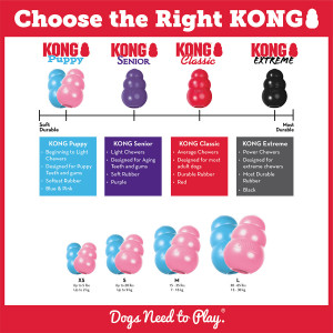 KONG Puppy - Img 3