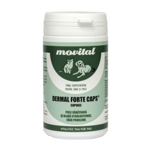 Dermal Forte, 100 capsule