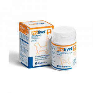Prolivet Caine Mediu